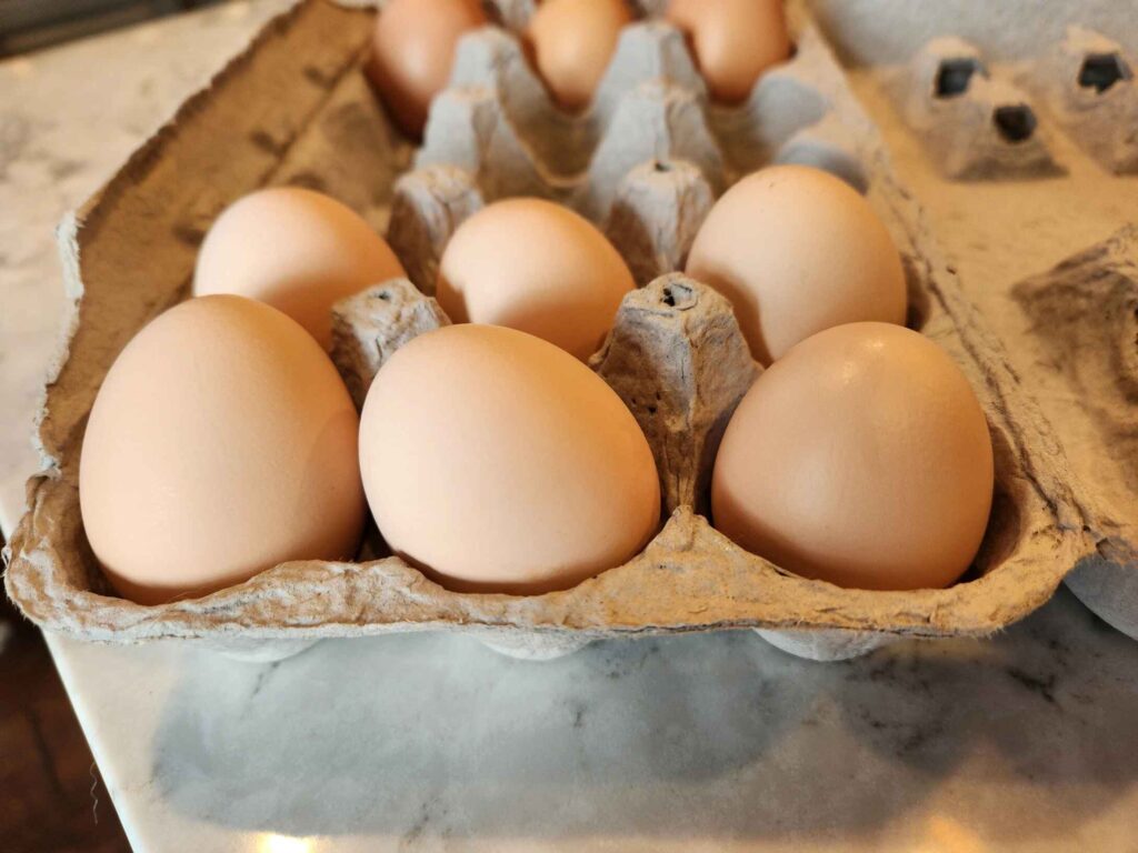 Egg Production