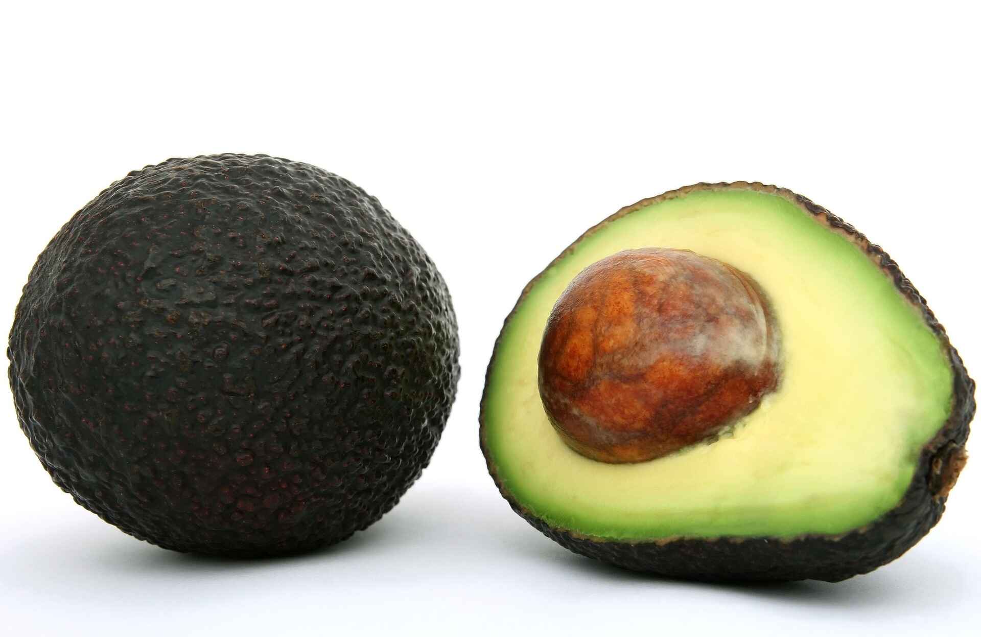 Why You Should Avoid Feeding Avocados to Chickens