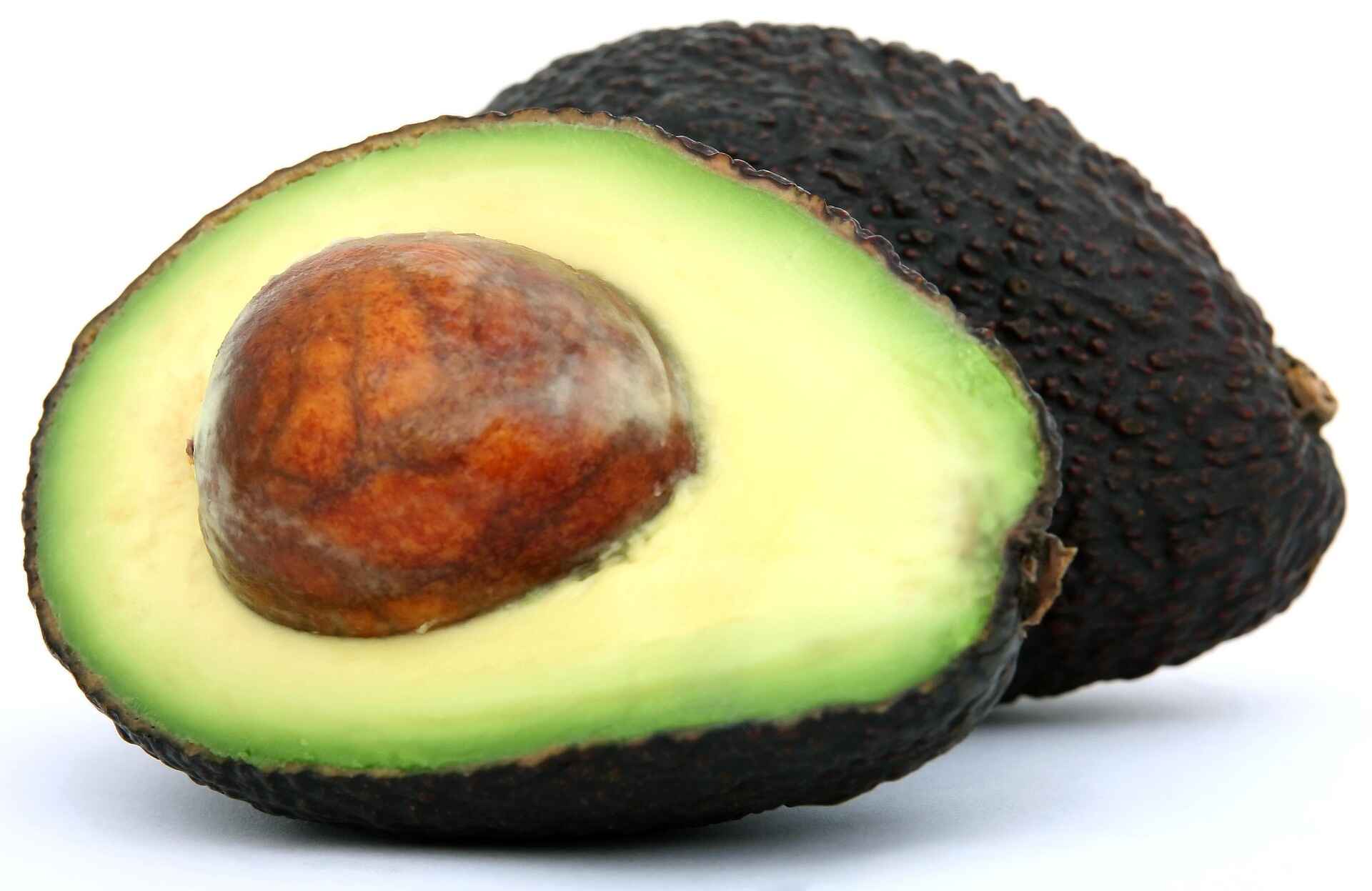 Offering Avocado Safely as a Treat