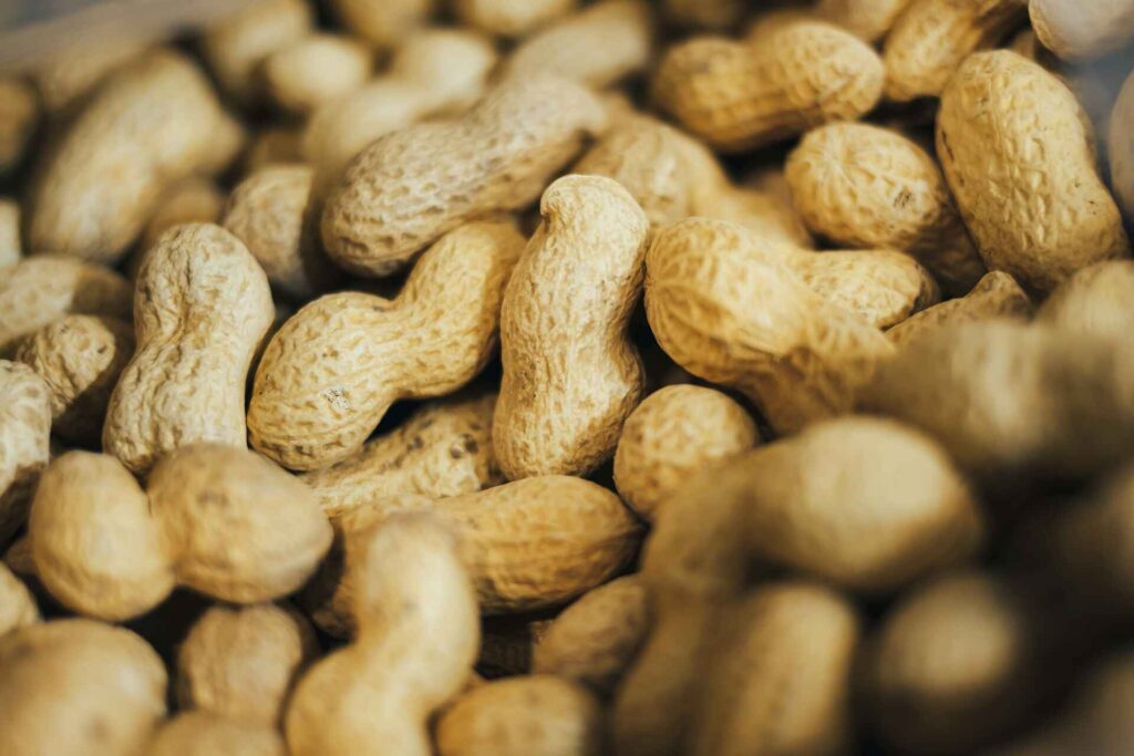 The Nutritional Profile of Peanuts