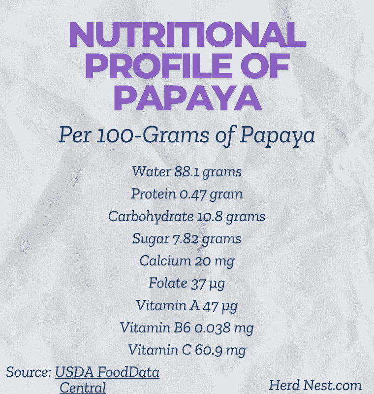 Nutritional Benefits of Papaya for Chickens
