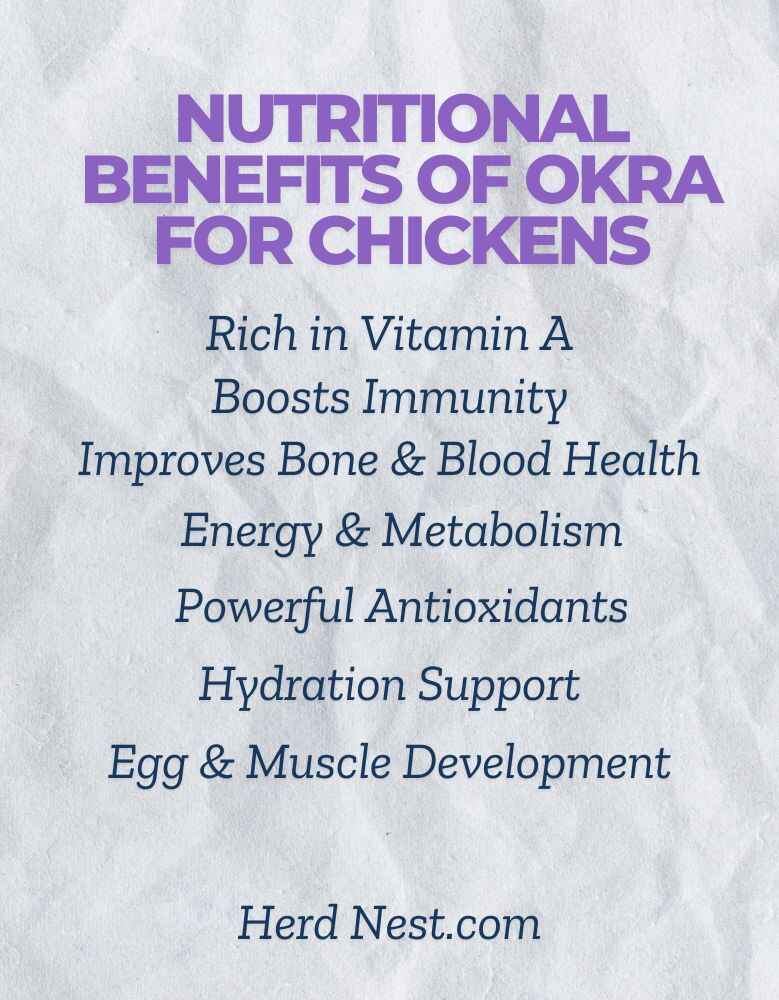 Nutritional Benefits of Eating Okra for Chickens