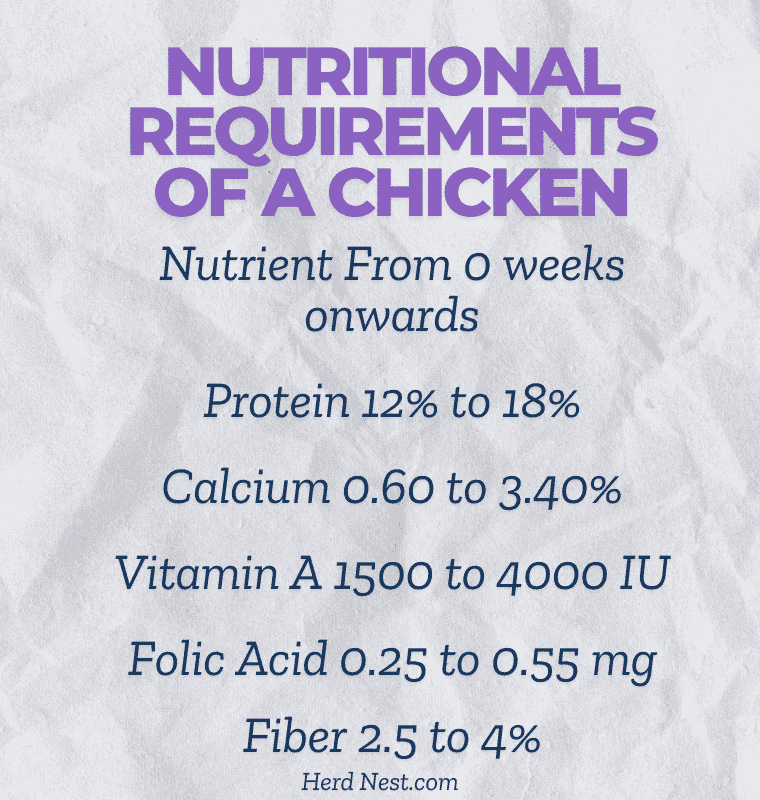 Nutritional Requirements of a Chicken