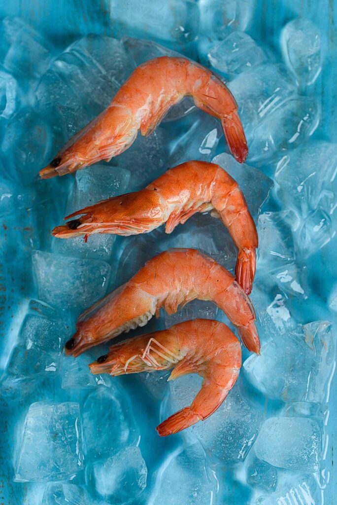 Can Chickens Eat Shrimp