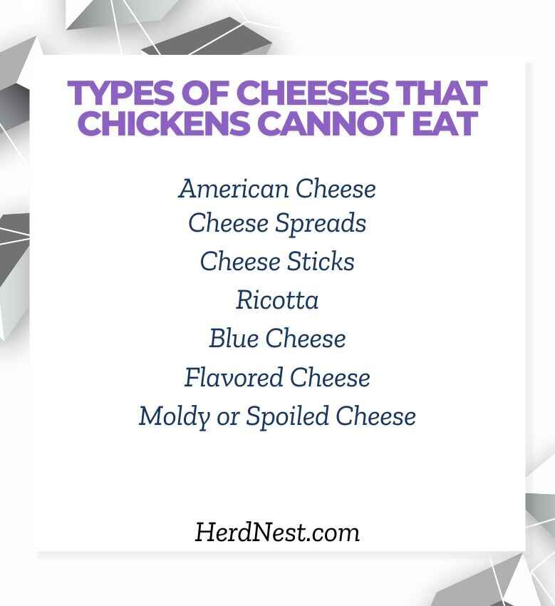 Types of Cheeses Chickens Should Avoid: