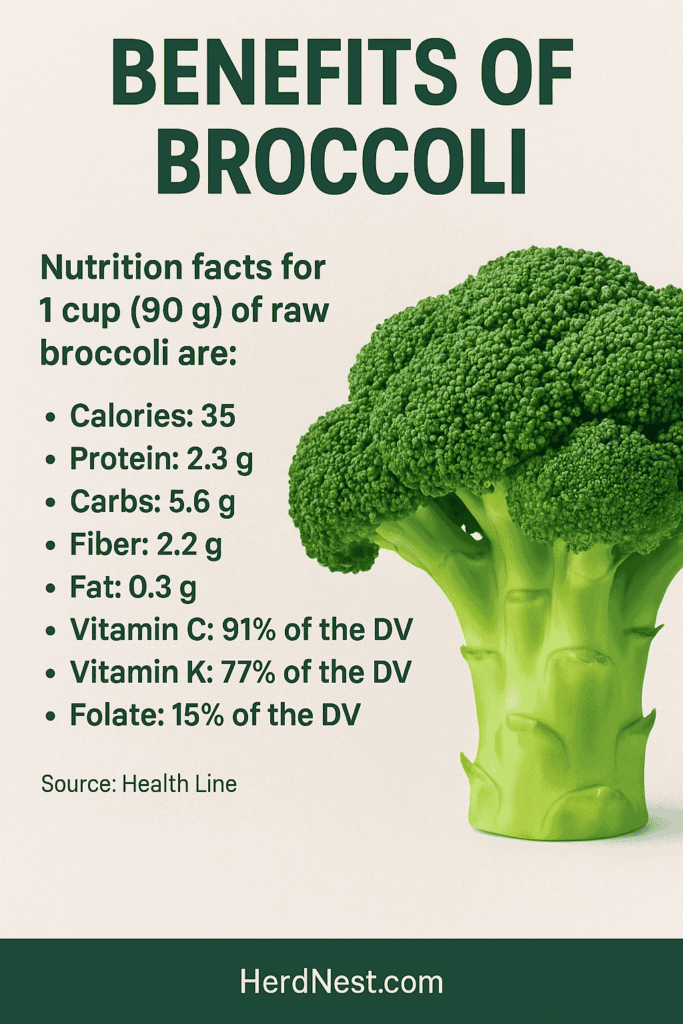 Benefits of Broccoli